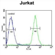 SAM Domain, SH3 Domain And Nuclear Localization Signals 1 (SAMSN1) Antibody