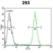 Calcium Modulating Ligand (CAMLG) Antibody