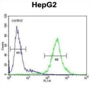 Interleukin 1 Receptor Antagonist (IL1RN) Antibody