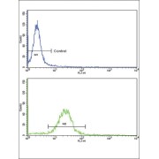 Epsin 3 (EPN3) Antibody