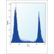 Hypoxanthine Phosphoribosyltransferase 1 (HPRT1) Antibody