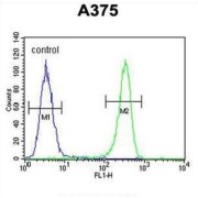 Desmocollin 1 (DSC1) Antibody