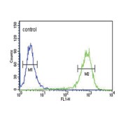 Melanocortin 3 Receptor (MC3R) Antibody