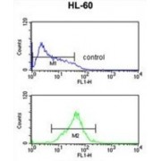 Caspase Recruitment Domain-Containing Protein 4 (CARD4) Antibody