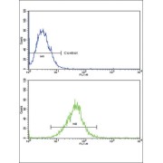 Interleukin 18 Receptor Accessory Protein (IL18RAP) Antibody