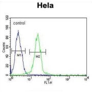 Ewing Sarcoma Breakpoint Region 1 (EWSR1) Antibody