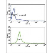 Lanosterol 14-Alpha Demethylase (CYP51A1) Antibody