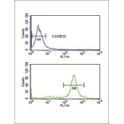 Fc Fragment of IgG, Low Affinity IIa, Receptor / CD32 (FCGR2A) Antibody