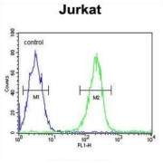 E3 Ubiquitin-Protein Ligase DTX1 (DTX1) Antibody