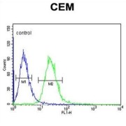 EGF Like Repeats And Discoidin I Like Domains Protein 3 (EDIL3) Antibody