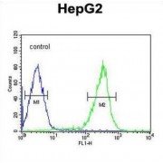 Pterin-4 Alpha-Carbinolamine Dehydratase 1 (PCBD1) Antibody