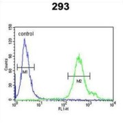 Regenerating Islet Derived Protein 3 Alpha (REG3A) Antibody