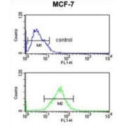 Small Nuclear Ribonucleoprotein D3 Polypeptide (SNRPD3) Antibody