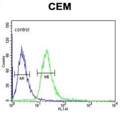 Melatonin Receptor 1A (MTNR1A) Antibody