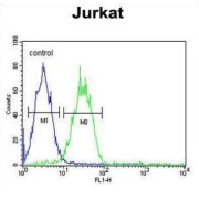 Arginine And Glutamate-Rich Protein 1 (ARGLU1) Antibody