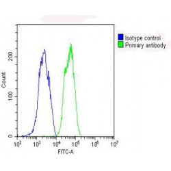 Glutathione Peroxidase 1 (GPX1) Antibody