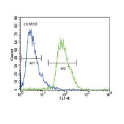 Calcium Voltage-Gated Channel Auxiliary Subunit Alpha2delta 3 (CACNA2D3) Antibody