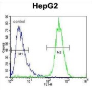 TYRO Protein Tyrosine Kinase Binding Protein (TYROBP) Antibody