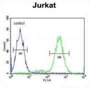 Mitochondrial Inner Membrane Protease Subunit 2 (IMP2L) Antibody