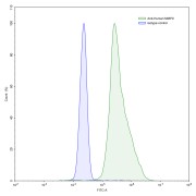 Flow cytometry analysis of CHO cells, using MMP9 antibody (green) or a control antibody (blue) with <a href="https://www.abbexa.com/index.php?route=product/search&search=abx457670" target="_blank">abx457670</a>- Goat Anti-Human IgG Antibody, conjugated to FITC.