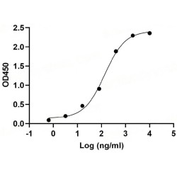 Monkeypox Virus M1R (MPXV M1R) Protein