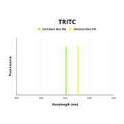 Fluorescence emission spectra of TRITC.