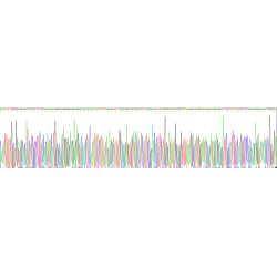 Human A Disintegrin And Metalloprotease 17 (ADAM17) Protein