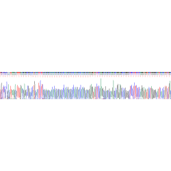 Mouse Androgen Receptor (AR) Protein