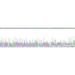 Human Angiopoietin-Related Protein 8 (ANGPTL8) Protein