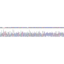 Human Apolipoprotein A5 (APOA5) Protein