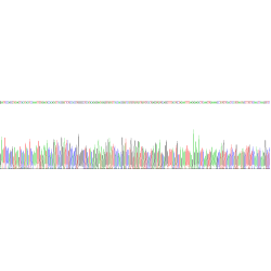 Mouse Carcinoembryonic Antigen-Related Cell Adhesion Molecule 5 (CEACAM5) Protein