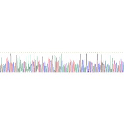 Human Ceruloplasmin (CP) Protein