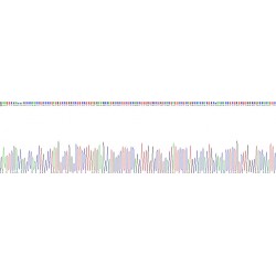 Human Cytochrome P450 1B1 (CYP1B1) Protein