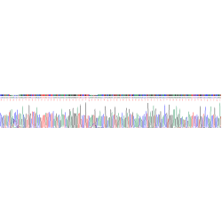 Human Kininogen 1 (KNG1) Protein