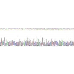 Rat Insulin Like Growth Factor Binding Protein 5 (IGFBP5) Protein