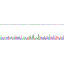 Rat Interleukin 18 Binding Protein (IL18BP) Protein