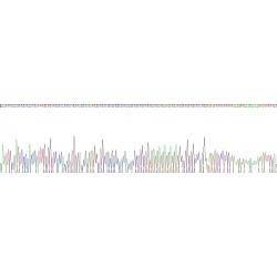 Human Kinesin Family, Member 5A (KIF5A) Protein