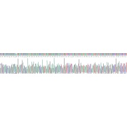 Mouse PC4 and SFRS1-Interacting Protein (PSIP1) Protein