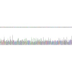 Human Low Density Lipoprotein Receptor Related Protein 1 (LRP1) Protein