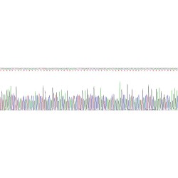 Human Mucin-5B (MUC5B) Protein