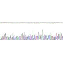 Human Pro-Opiomelanocortin (POMC) Protein