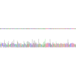 Human Toll Like Receptor 2 (TLR2) Protein