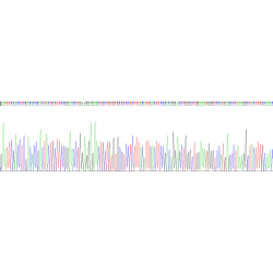 Chicken Transforming Growth Factor Beta 1 (TGFb1) Protein