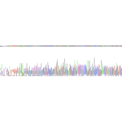 Human Transmembrane Protease, Serine 2 (TMPRSS2) Protein