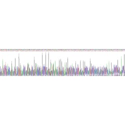 Monkey Tumor Necrosis Factor (TNF) Protein