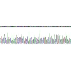 Human Tumor Necrosis Factor Ligand Superfamily, Member 12 (TNFSF12) Protein