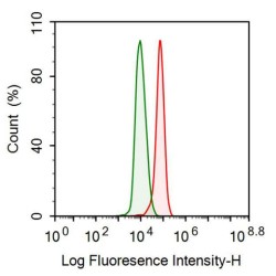 Beta-2-Microglobulin (b2M) Antibody