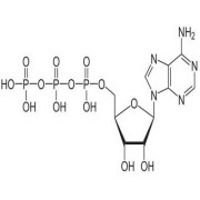 Adenosine Triphosphate (OVA)