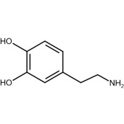 Chemical structure of unconjugated Dopamine.