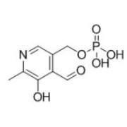 Pyridoxal (OVA)